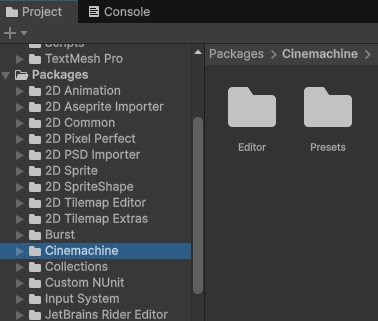 Displays Project explorer. Under Packages folder there is Cinemachine library among other dependencies.